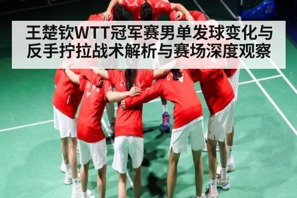 王楚钦WTT冠军赛男单发球变化与反手拧拉战术解析与赛场深度观察